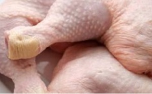 Погоня за грузовиком с партией некачественной курицы развернулась на Сахалине