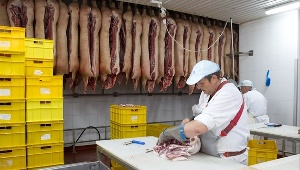 Свинокомплекс "Томский" будет поставлять мясо и фарш в сеть Metro