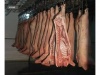 Россельхознадзор забраковал четверть перерабатывающейся в Костромской области свинины