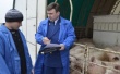 Россельхознадзор проверит литовских мясопереработчиков