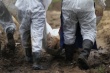 Ветврачи назвали причину вспышки АЧС в Воронежской области
