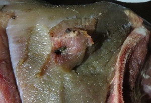 В Крым три дня подряд пытались провезти партию тухлой говядины