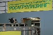 Росагролизинг завез в Татарстан крупную партию КРС
