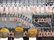 Россияне нашли сальмонеллу в «Гаврилівських курчатах» Россияне нашли сальмонеллу в «Гаврилівських курчатах»