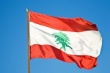 Ливан заинтересован в начале российских поставок мяса птицы