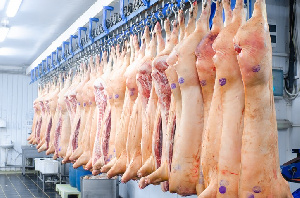«Прикрывались настоящими фирмами»: красноярский Россельхознадзор вычислил несуществующих поставщиков мяса