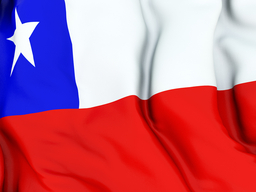 Чили рассчитывает на создание зоны свободной торговли с с РФ и странами ТС