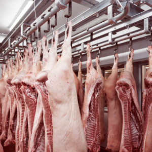 Россия экспортировала в Казахстан вчетверо больше своей свинины