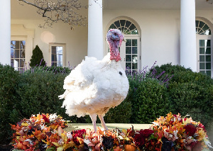 БМК имени М. Гафури предъявили претензии на общую сумму более ₽244 млн