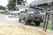 33 тысячи свиней, которых уничтожат из-за вспышки чумы в Тверской области - самая крупная потеря для Российского свиноводства