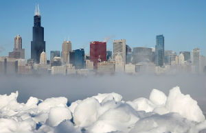 Американские фермеры кутают коров в теплую одежду