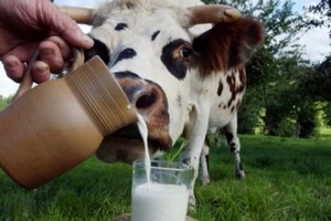 В Забайкалье простроят восемь молочных ферма за 1,8 млрд рублей
