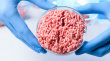 Производитель искусственного мяса Impossible Foods готовится выйти на биржу с оценкой в $10 млрд