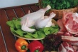 Продукция южноуральских птицефабрик появится на рынках Азии и Египта