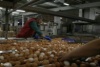 Ленобласть вышла в лидеры по производству мяса кур и куриных яиц