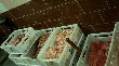 В Дудинке приостановлен оборот куриных окорочков неподтвержденного качества В Дудинке приостановлен оборот куриных окорочков неподтвержденного качества