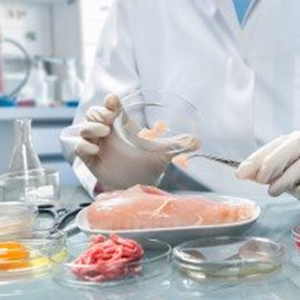 Ставрополье ужесточает ветеринарно-санитарный контроль из-за гриппа птиц Ставрополье ужесточает ветеринарно-санитарный контроль из-за гриппа птиц