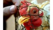 Специалисты выявили третий очаг вируса птичьего гриппа в Японии