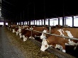 «ЭкоНиву» включили в программу «ЭкоНиву» включили в программу