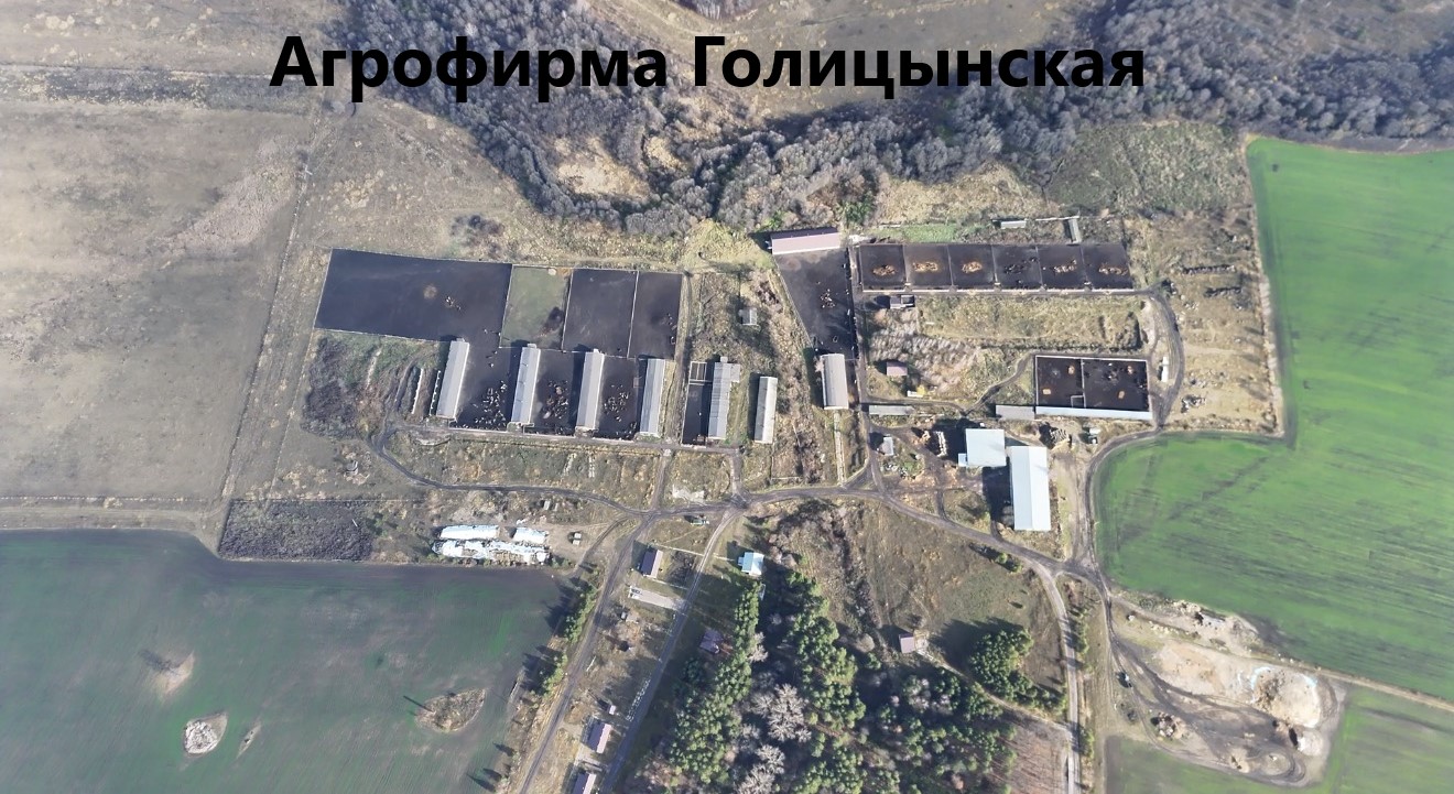 ООО Агрофирма Голицынская 