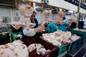  Китай ввел антидемпинговый тариф для бразильского мяса птицы
