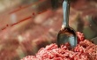 Литва вскоре сможет экспортировать мясные продукты в США