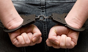 На Камчатке работники мясокомбината похитили почти 2 тонны мяса