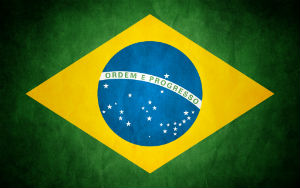 В течение 2013 года бразильский экспорт говядины вырос до рекордных 5,3 млрд. долл.