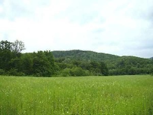 В Волгоградской области занимаются восстановлением пастбищ