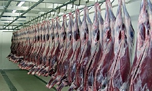 Оленеводы предприятия «Мужевское» перевыполнили план по заготовке мяса
