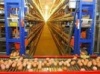 20 тысяч тонн мяса в год будет производить Староминская птицефабрика после реконструкции