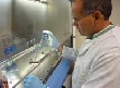 Мясо из пробирки - возможный рецепт против голода