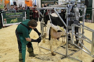 С 3 по 5 февраля 2015 года в Москве пройдет выставка по животноводству и птицеводству – "АгроФарм"