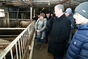 Губернатор Курганской области посетил ЛПХ, занимающееся производством свинины