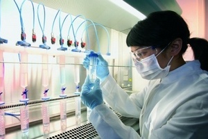 Редактирование генома стало новой дилеммой ЕС