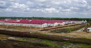 Крупнейший свиноводческий комплекс Алтая выставят на торги за 3,22 млрд