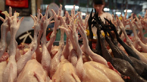 FAS USDA: Китай стал основным направлением экспорта российского мяса птицы