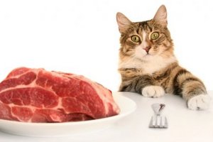 Австралийский диетолог выступил против налога на мясо