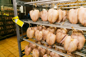 Птицефабрику «Уемскую» наказали за сальмонеллу в курином мясе