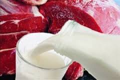 Бразилия увеличит экспорт мяса и молочных продуктов в страны ТС