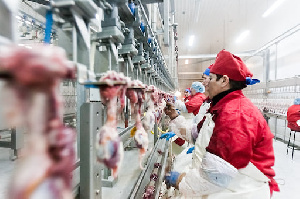 Бывшие чиновники вложатся в уток