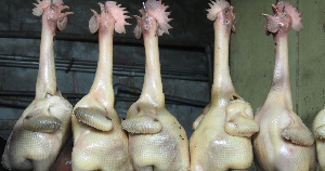 «Черкизово» планирует вложить еще 3,5 млрд рублей в «Алтайский бройлер»