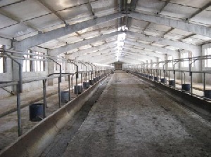 Более 80 животноводческих помещений восстановлено в Пензенской области