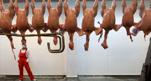 В 2021 году тарифные квоты на импорт говядины и мяса птицы не изменятся