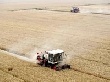Сельское хозяйство РФ догоняет по росту ТЭК