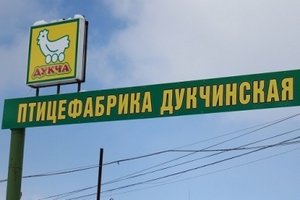 Магаданский губернатор оценил развитие местной птицефабрики