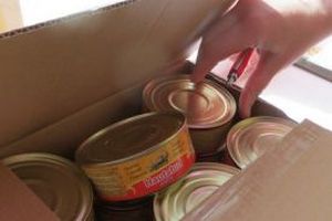 Мясной продукцией из Зауралья пополнят стратегический запас РФ