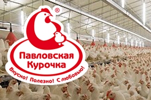 Павловская птицефабрика уйдет с молотка за попытку запутать арбитражный суд Павловская птицефабрика уйдет с молотка за попытку запутать арбитражный суд