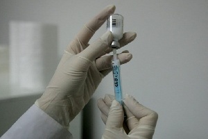 Специалисты вакцинировали около 5 тыс. животных после обнаружения очага ящура в Приморье