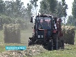 Кормами и зерном полностью обеспечили себя лишь Свердловская и Тюменская области Кормами и зерном полностью обеспечили себя лишь Свердловская и Тюменская области